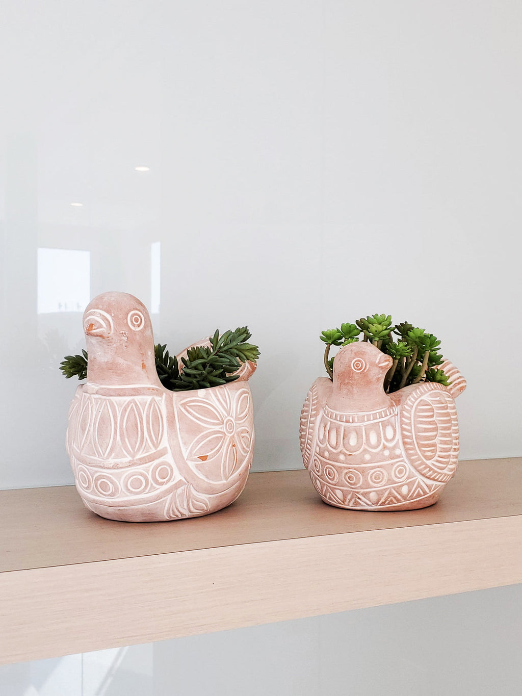 Terracotta pot - Spotted dove