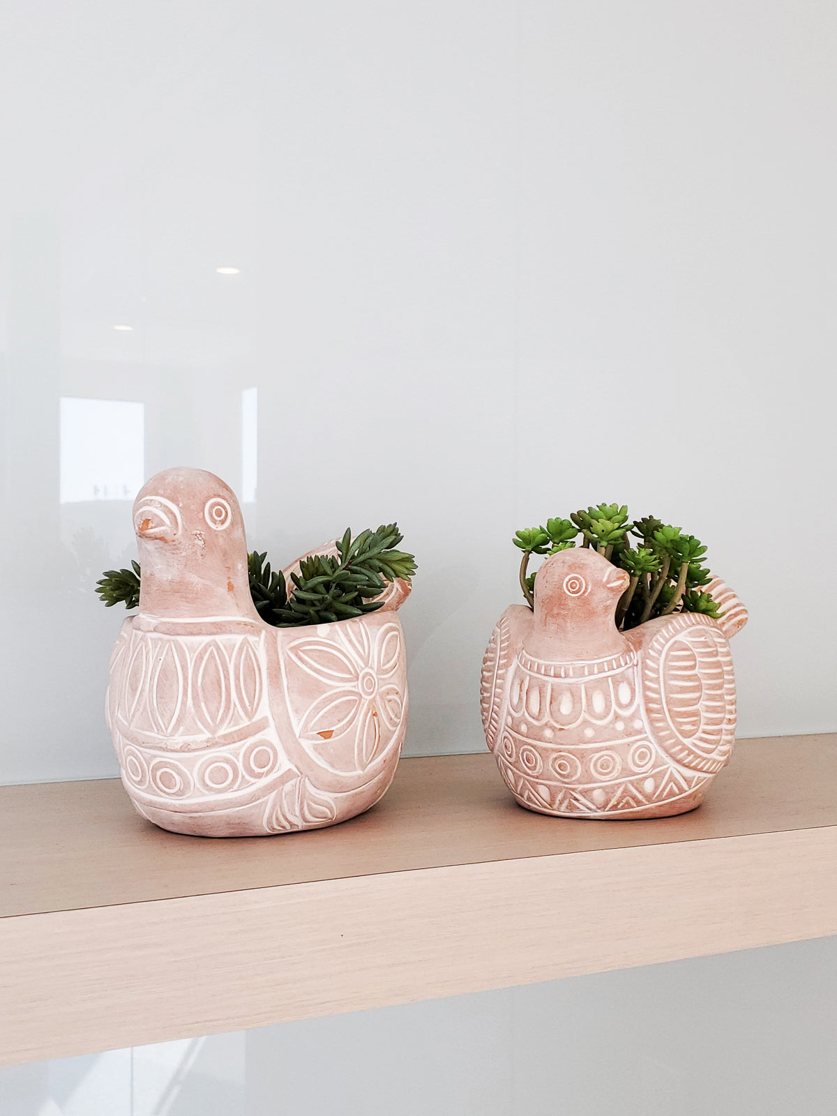 Terracotta pot - Spotted dove